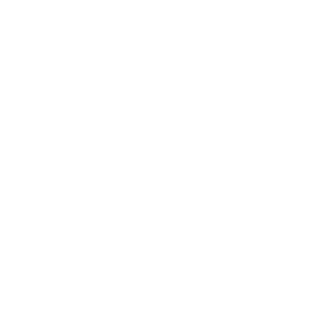 The Sensory Specialist